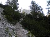 Bodenbauer - Vertatscha/Vrtača